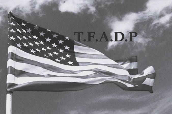 The Fair American Dream Project : Helping Families attain financial, mental, spiritual, and physical stability
